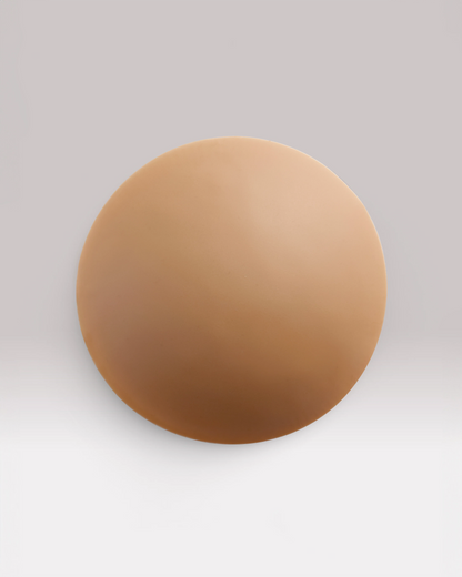 NIPS - CONCEAL